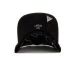 CAYLER AND SONS VOLTAGE CAP - Image 3
