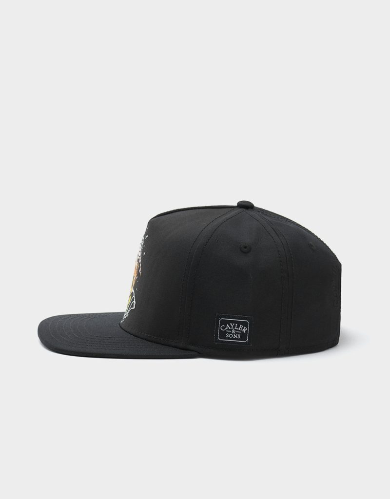 CAYLER AND SONS WL BLESS CAP BLK - Image 4