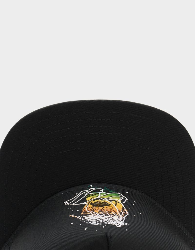 CAYLER AND SONS WL BLESS CAP BLK - Image 3