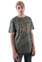 CAYLER AND SONS WL PALMOUFLAGE T-SHIRT OLIVE/SUNSET