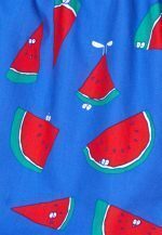 LOUSY LIVIN BOXERSHORTS MELONS BLUE - Image 4