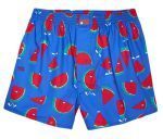 LOUSY LIVIN BOXERSHORTS MELONS BLUE