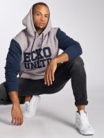 ECKO UNLTD. MEN HOODIE CENTRAL VALLEY IN GREY - Image 3