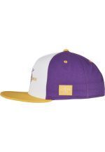 CAYLER AND SONS WL Vacay Mode Cap CS2402-00889-0050 - Image 2