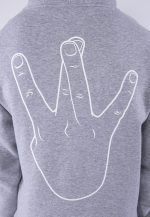 CAYLER AND SONS WL WESTCOAST HOODIE HEATHER GREY/MC - Image 4