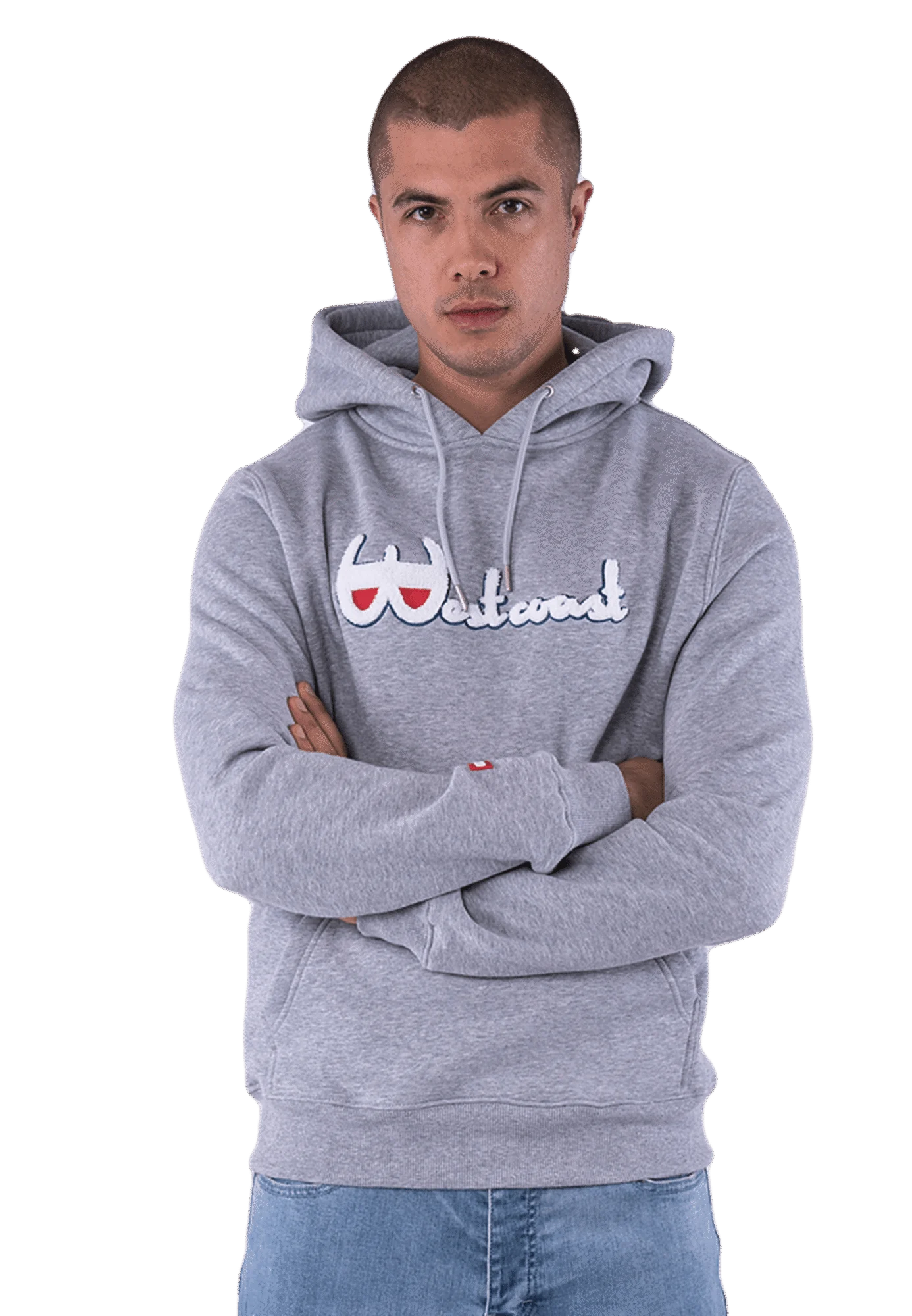 CAYLER AND SONS WL WESTCOAST HOODIE HEATHER GREY/MC
