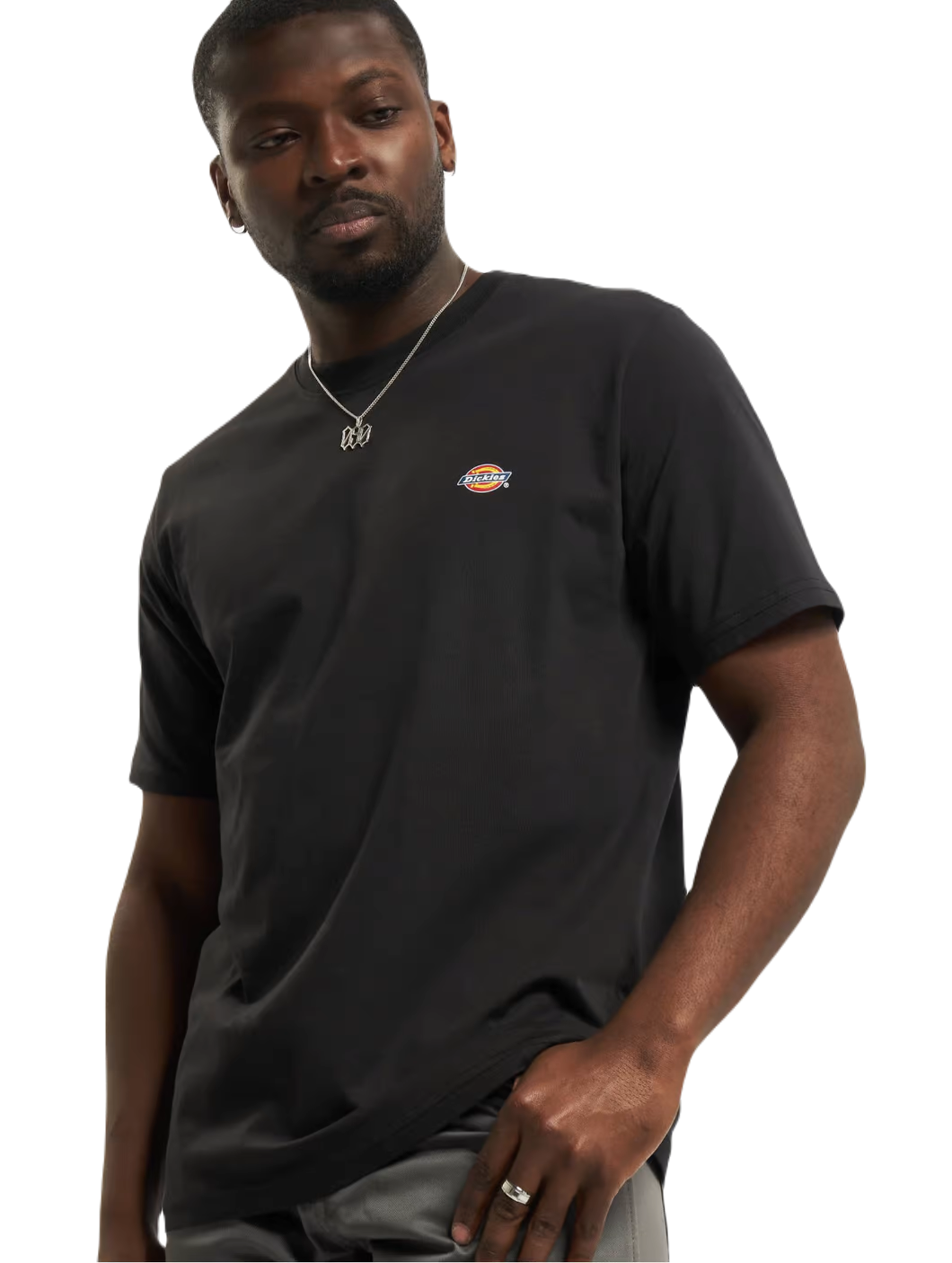 gjfgjfgjsjff Dickies Mapleton T-Shirt Black DK0A4XDBBLK1 - Image 1