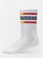 DICKIES GENOLA SHOCKS 2-PACK DK0A4XDKWHX1 WHITE