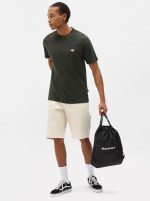 DICKIES MAPLETON T-SHIRT OLIVE DK0A4XDBOGX1 - Image 3