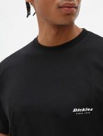 DICKIES QUAMBA BOX TEE BLACK - Image 3