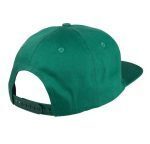 SANTA CRUZ CLASSIC DOT SNAPBACK CAP EVERGREEN CAP - Image 3