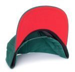 SANTA CRUZ CLASSIC DOT SNAPBACK CAP EVERGREEN CAP - Image 2