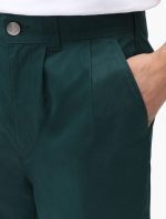 DICKIES OSCARVILLE PANT DK0A4XGGB851 PONDEROSA PINE - Image 6