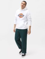 DICKIES OSCARVILLE PANT DK0A4XGGB851 PONDEROSA PINE - Image 2