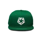 Tribal Gear T-star Snapback Pine TR950-420 - Image 3