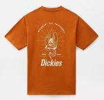 DICKIES BETTLES TEE DK0A4XHFB831 PUMPKIN SPICE - Image 2