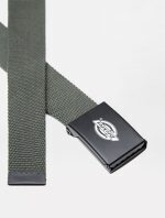 DICKIES ORCUTT WEBBING BELT OLIVE GREEN - Image 2