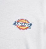 DICKIES MAPLETON T-SHIRT WHITE DK0A4XDBWHX1 - Image 2