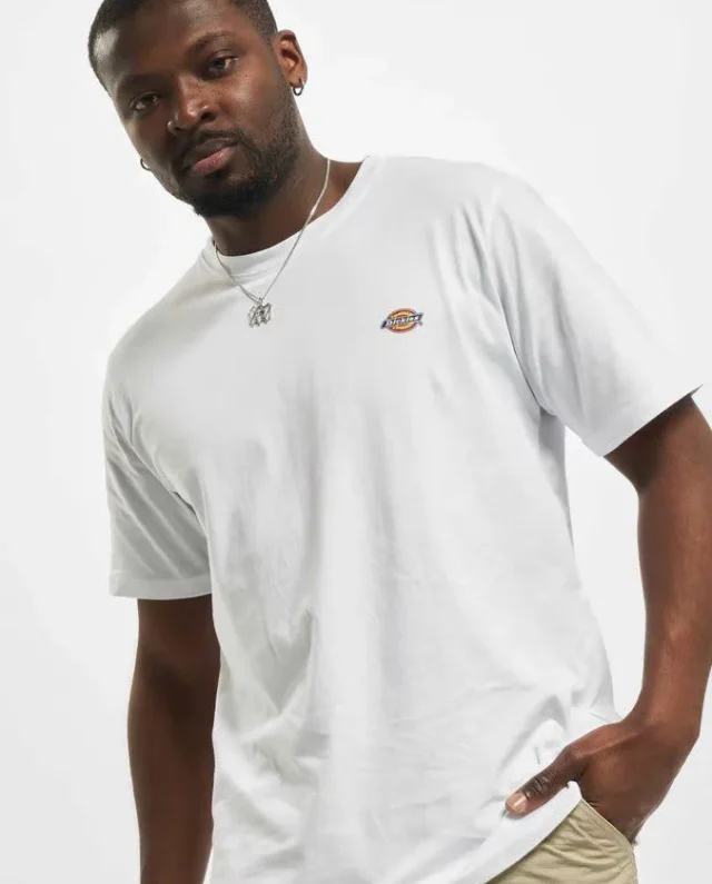DICKIES MAPLETON T-SHIRT WHITE DK0A4XDBWHX1