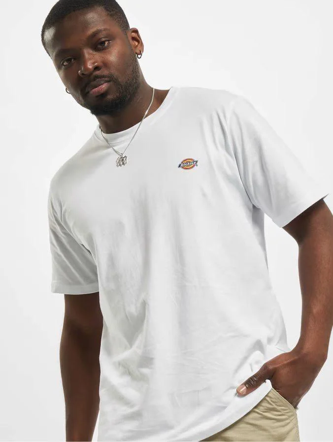 DICKIES MAPLETON T-SHIRT WHITE DK0A4XDBWHX1