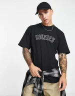 DICKIES UNION SPRINGS TEE BLACK DK0A4Y1LBLK1 - Image 3