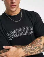 DICKIES UNION SPRINGS TEE BLACK DK0A4Y1LBLK1 - Image 2