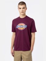 DICKIES ICON LOGO TEE GRAPE WINE DK0A4XC9C951 - Image 2