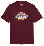 DICKIES ICON LOGO TEE GRAPE WINE DK0A4XC9C951