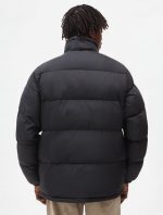 DICKIES WALDENBURG JACKET BLACK DK0A4XP2BLK1 - Image 5