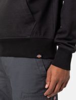 DICKIES MARBURY HOODIE BLACK DK0A4XYTBLK1 - Image 5