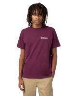 DICKIES CLEVELAND TEE DK0A4Y1KC951 GRAPE WINE