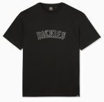 DICKIES UNION SPRINGS TEE BLACK DK0A4Y1LBLK1