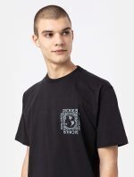 DICKIES MARBURY TEE BLACK DK0A4Y1NBLK1 - Image 5