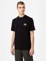 DICKIES HOLTVILLE TEE BLACK DK0A4Y3ABLK1 - Image 5