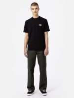 DICKIES HOLTVILLE TEE BLACK DK0A4Y3ABLK1 - Image 7