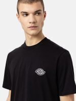DICKIES HOLTVILLE TEE BLACK DK0A4Y3ABLK1 - Image 3
