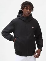 Dickies New Sarpy Jacket Black DK0A4XG8BLK1