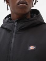 Dickies New Sarpy Jacket Black DK0A4XG8BLK1 - Image 2