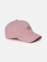 DICKIES HARDWICK 6 PANEL LOGO CAP FOXGLOVE ONE SIZE DK0A4TKVD011