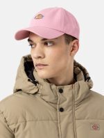 DICKIES HARDWICK 6 PANEL LOGO CAP FOXGLOVE ONE SIZE DK0A4TKVD011 - Image 4