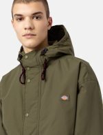 DICKIES GLACIER VIEW PARKA MILITARY GREEN - Image 7
