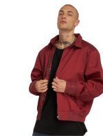 BRANDIT JACKET LORD CANTERBURY BORDEAUX