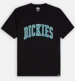 DICKIES AITKIN TEE BLACK/DEEP LAKE DK0A4X9FF041