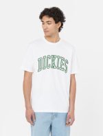 DICKIES AITKIN TEE WHITE/APPLE MINT DK0A4X9FF051 - Image 2