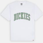 DICKIES AITKIN TEE WHITE/APPLE MINT DK0A4X9FF051