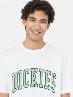 DICKIES AITKIN TEE WHITE/APPLE MINT DK0A4X9FF051 - Image 4