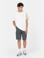 DICKIES MILLERVILLE SHORT CHARCOAL GREY DK0A4XEDCH01 - Image 8