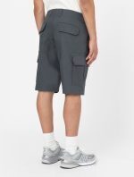 DICKIES MILLERVILLE SHORT CHARCOAL GREY DK0A4XEDCH01 - Image 3