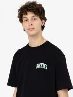 DICKIES AITKIN CHEST TEE BLACK DK0A4Y8OBLK1 - Image 3