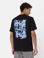 DICKIES CRESWELL TEE BLACK DK0A4Y8WBLK1 - Image 6
